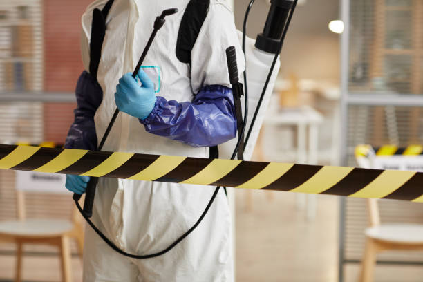 Professional Hoarding Cleanup technician working in Waco, TX